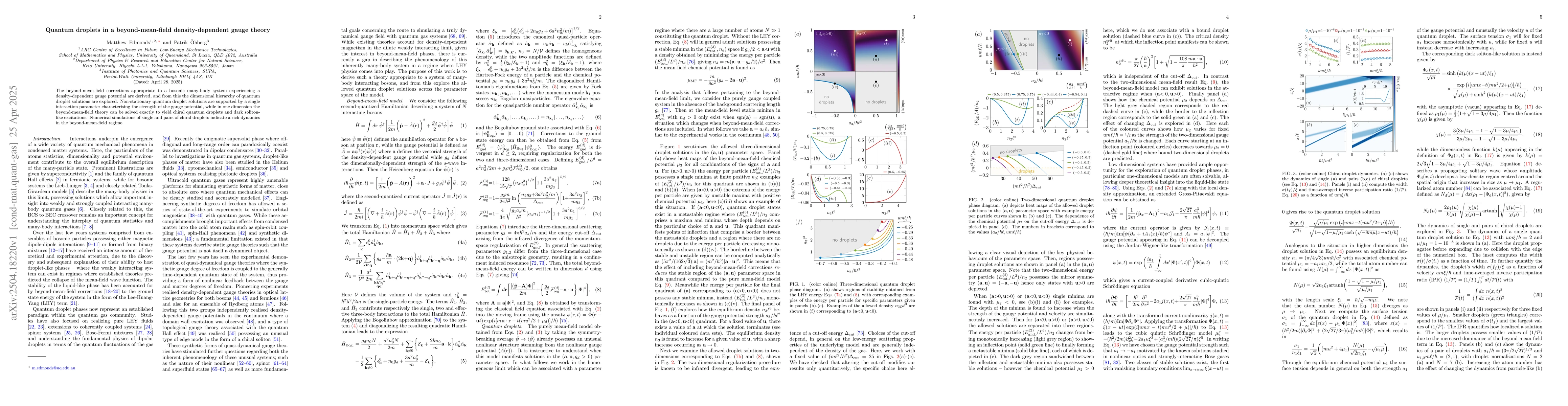 Thumbnail for Quantum droplets in a beyond-mean-field density-dependent gauge theory