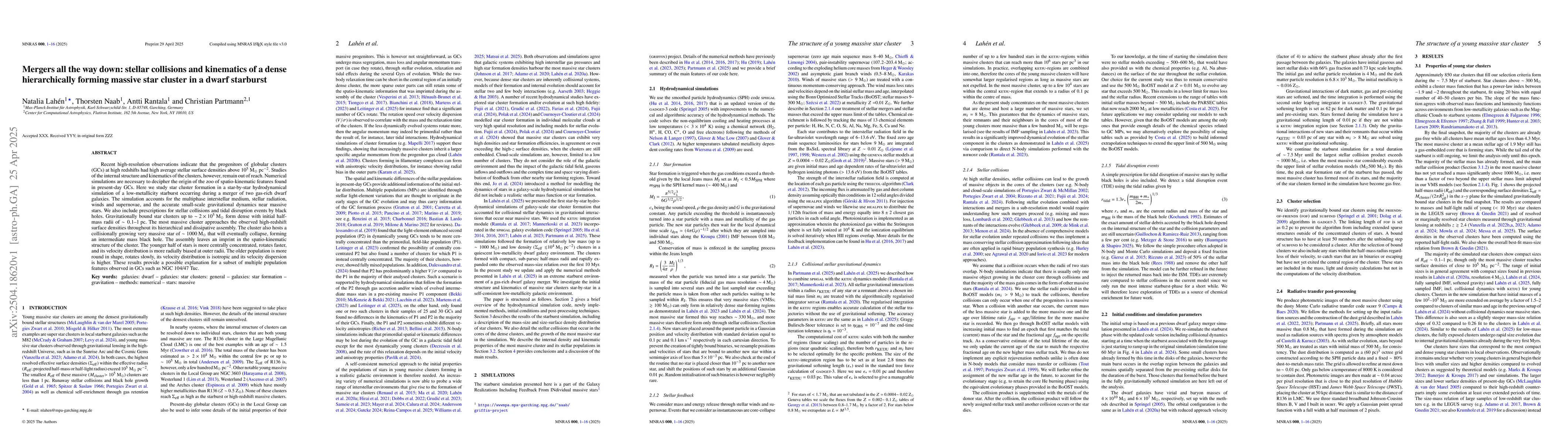 Thumbnail for Mergers all the way down: stellar collisions and kinematics of a dense
  hierarchically forming massive star cluster in a dwarf starburst
