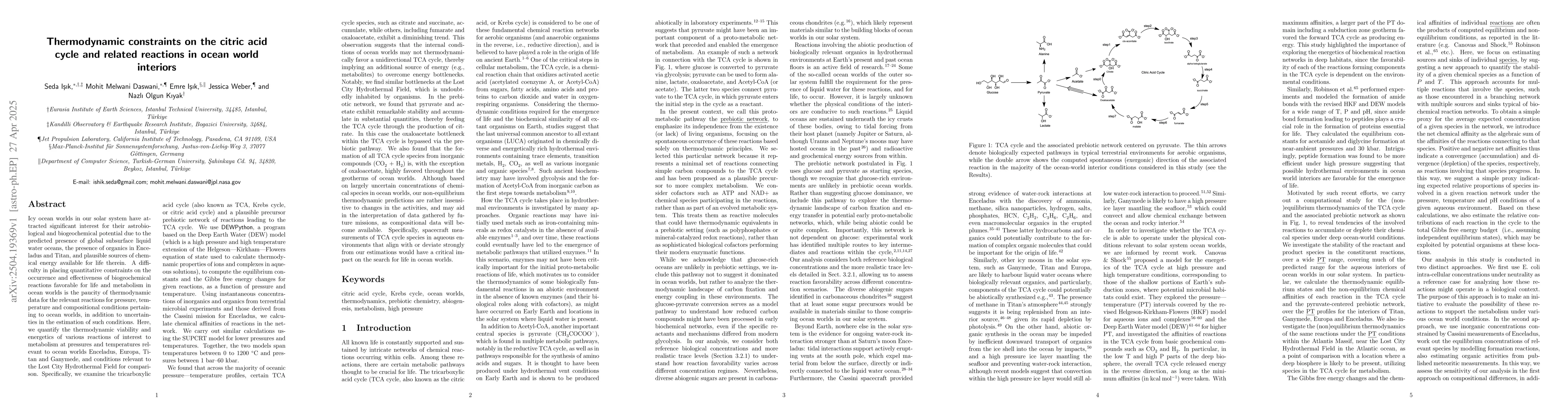 Thumbnail for Thermodynamic constraints on the citric acid cycle and related reactions
  in ocean world interiors