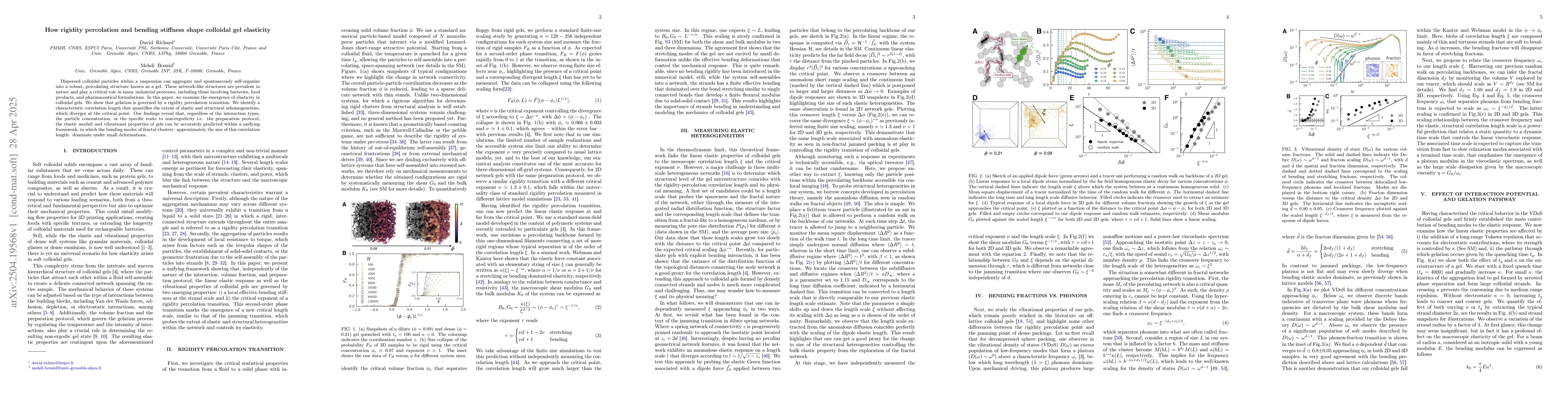 Thumbnail for How rigidity percolation and bending stiffness shape colloidal gel
  elasticity