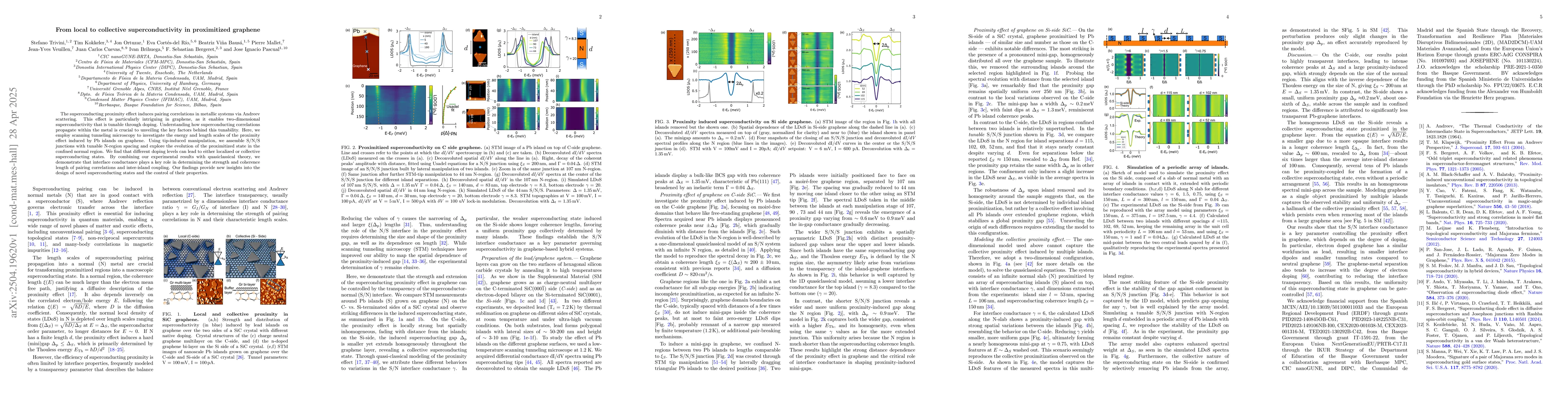 Thumbnail for From local to collective superconductivity in proximitized graphene
