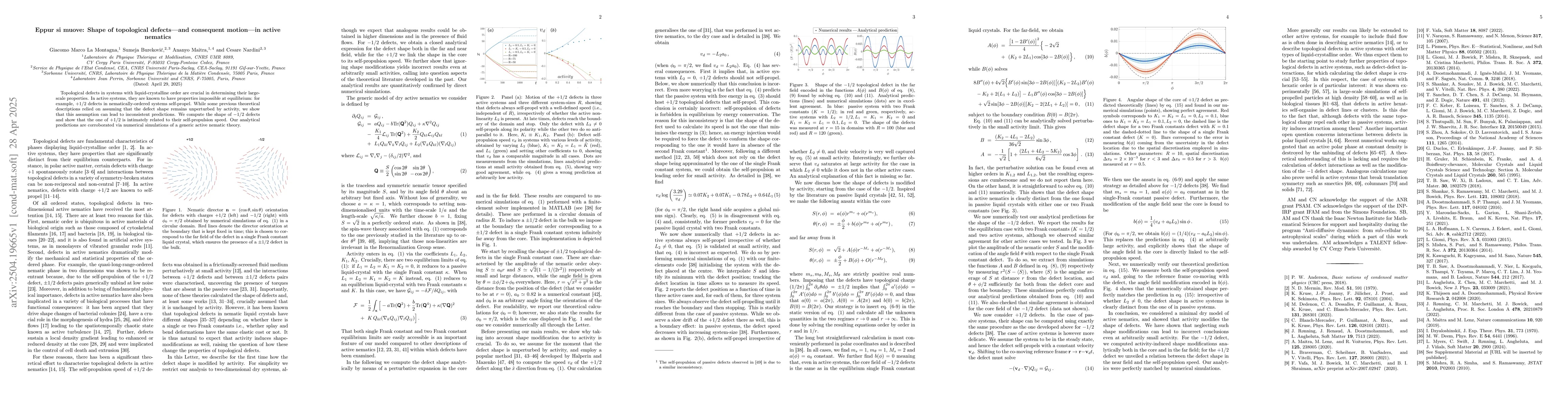 Thumbnail for Eppur si muove: Shape of topological defects -- in active nematics