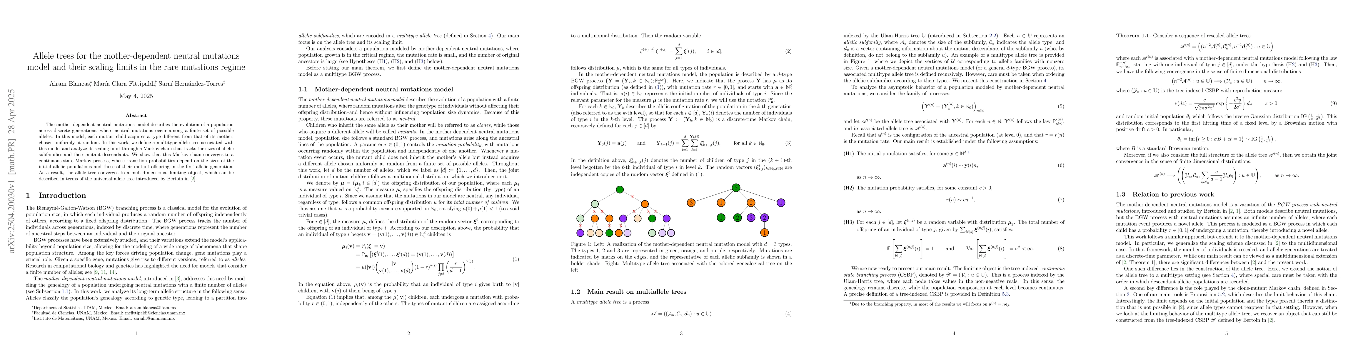 Thumbnail for Allele trees for the mother-dependent neutral mutations model and their
  scaling limits in the rare mutations regime