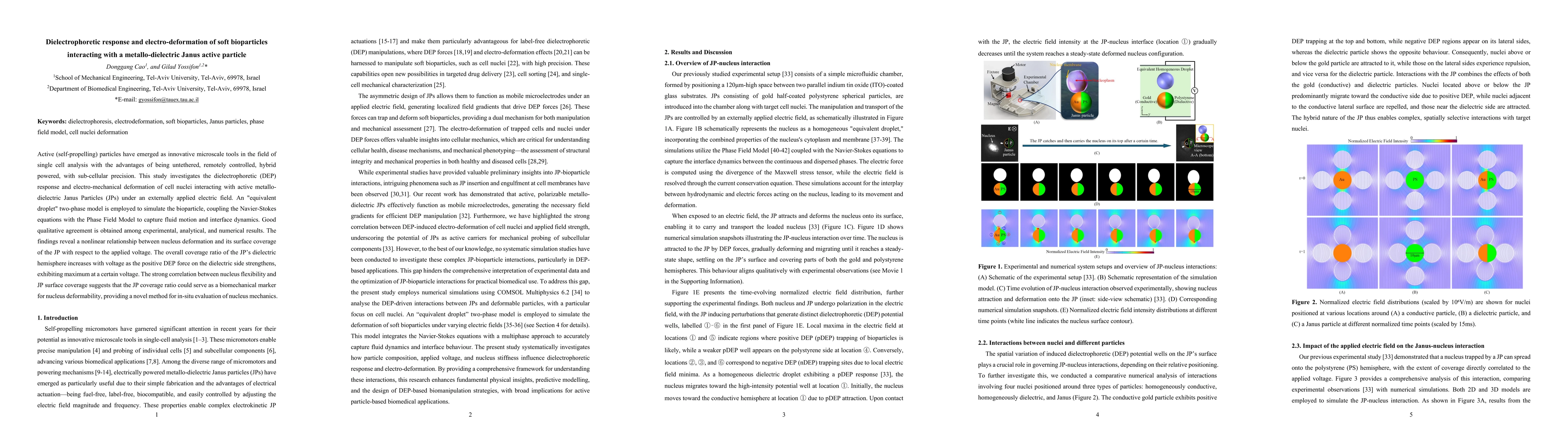 Thumbnail for Dielectrophoretic response and electro-deformation of soft bioparticles
  interacting with a metallo-dielectric Janus active particle