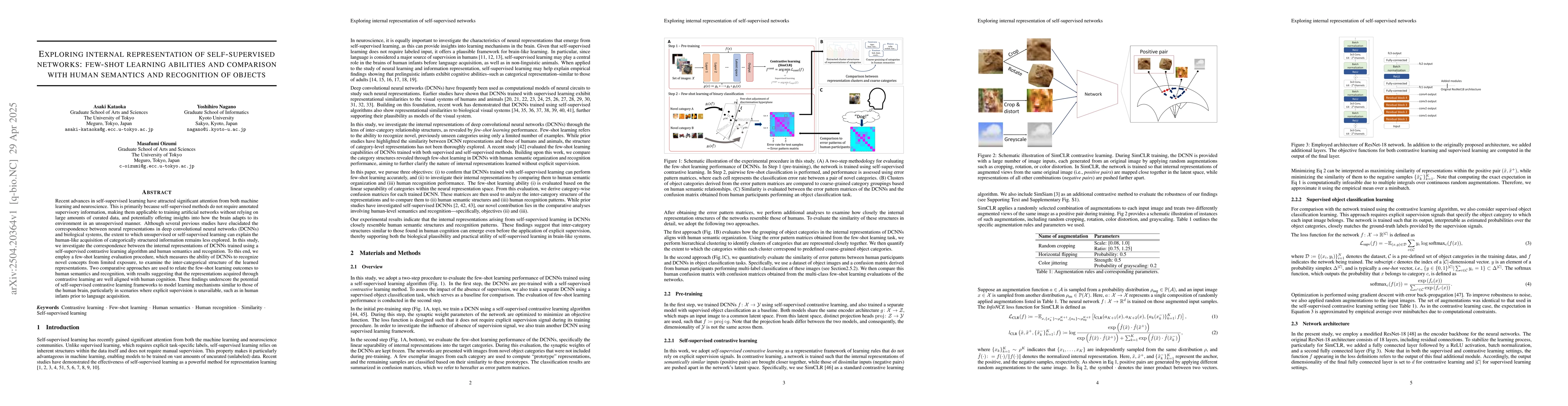 Thumbnail for Exploring internal representation of self-supervised networks: few-shot
  learning abilities and comparison with human semantics and recognition of
  objects