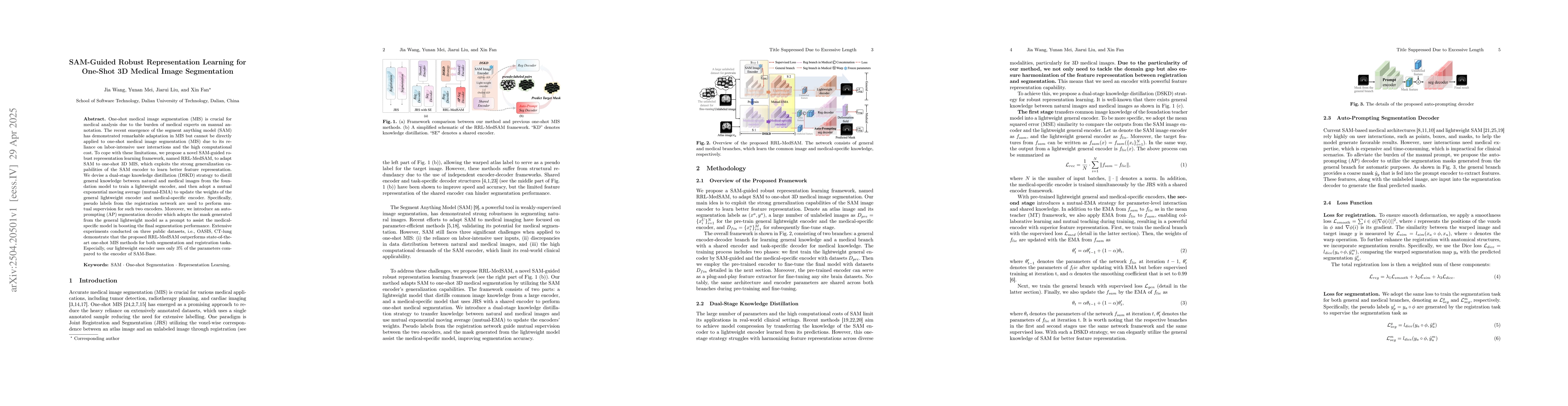 Thumbnail for SAM-Guided Robust Representation Learning for One-Shot 3D Medical Image
  Segmentation
