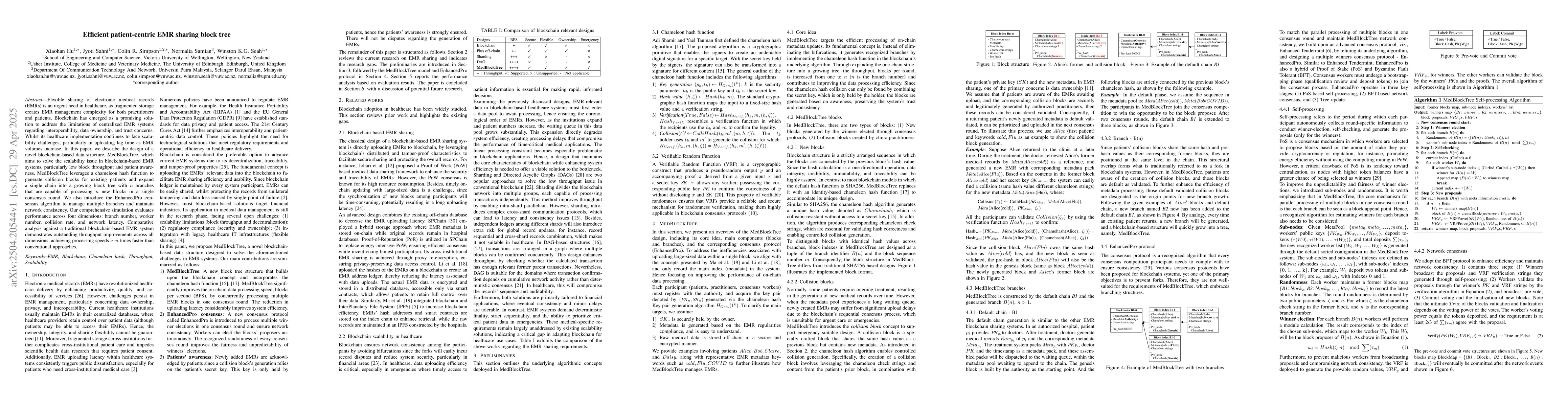 Thumbnail for Efficient patient-centric EMR sharing block tree
