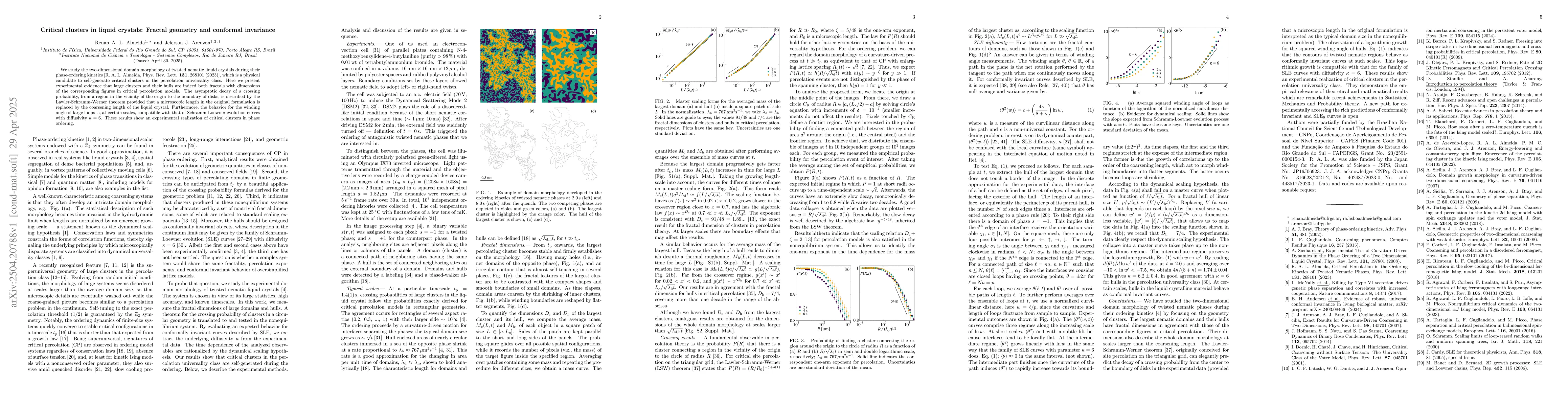 Thumbnail for Critical clusters in liquid crystals: Fractal geometry and conformal
  invariance