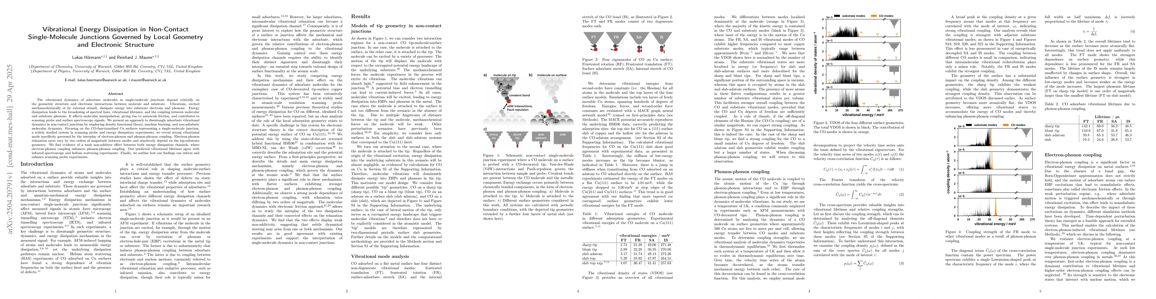 Thumbnail for Vibrational Energy Dissipation in Non-Contact Single-Molecule Junctions
  Governed by Local Geometry and Electronic Structure