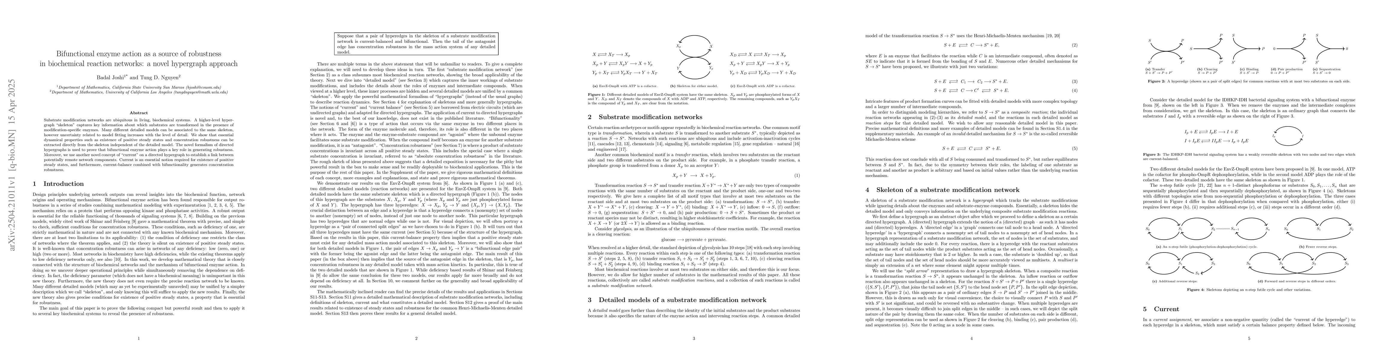 Thumbnail for Bifunctional enzyme action as a source of robustness in biochemical
  reaction networks: a novel hypergraph approach