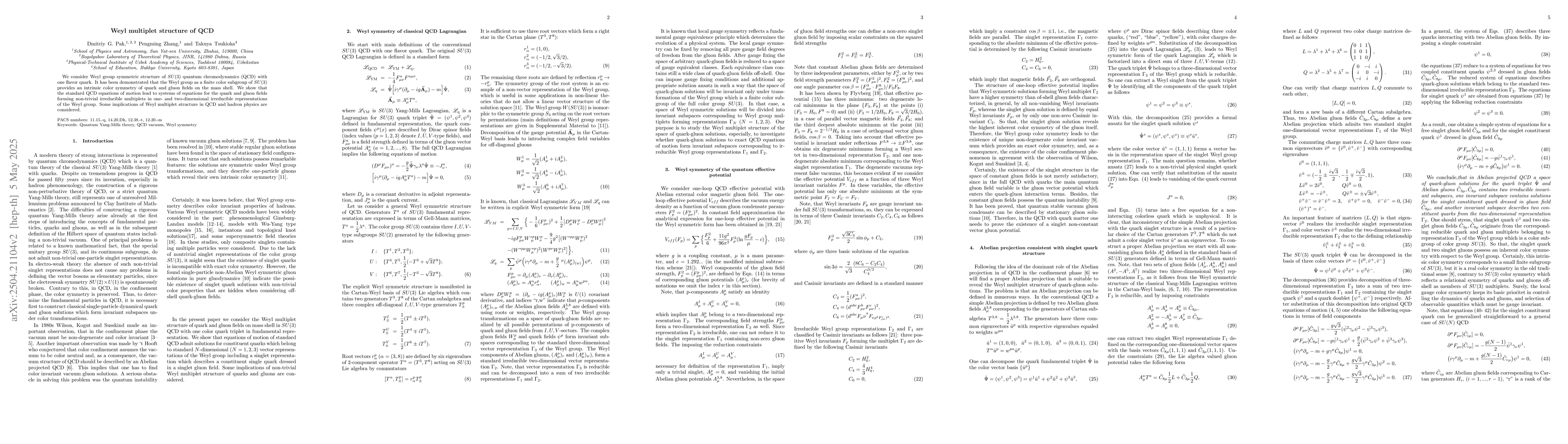 Thumbnail for Weyl multiplet structure of QCD