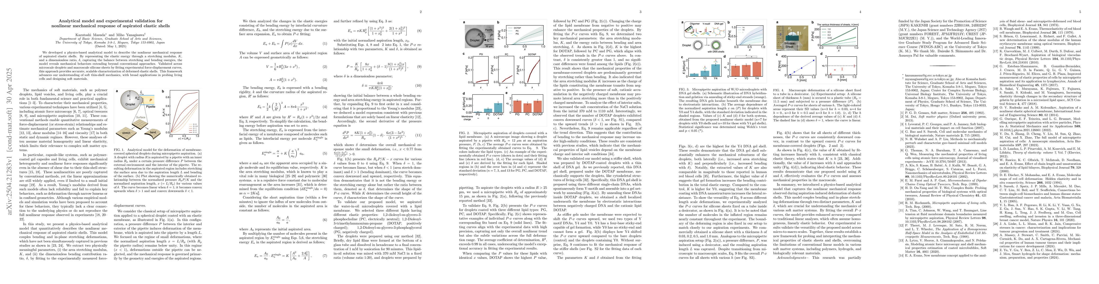 Thumbnail for Analytical model and experimental validation for nonlinear mechanical
  response of aspirated elastic shells
