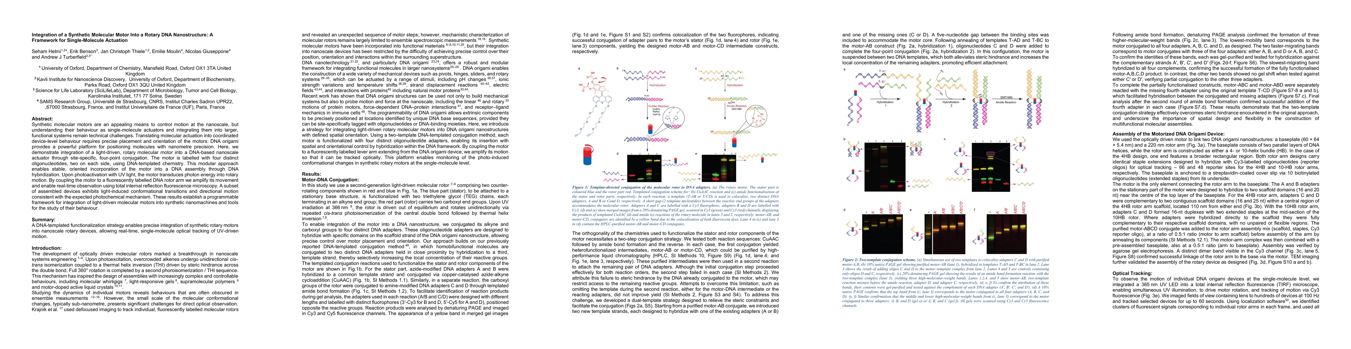 Thumbnail for Integration of a Synthetic Molecular Motor Into a Rotary DNA
  Nanostructure: A Framework for Single-Molecule Actuation