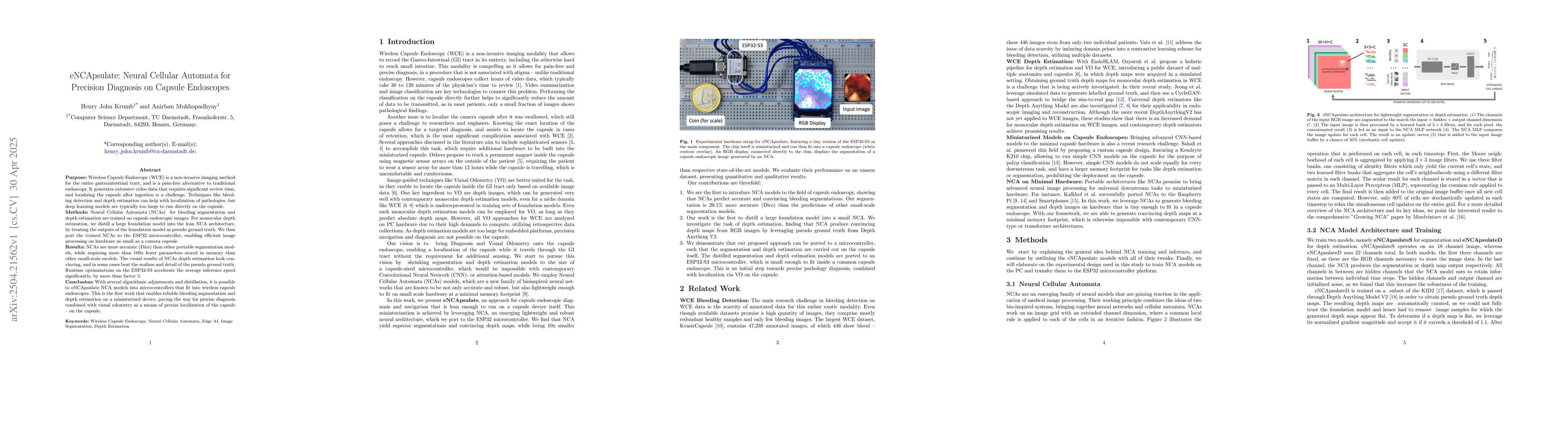 Thumbnail for eNCApsulate: NCA for Precision Diagnosis on Capsule Endoscopes