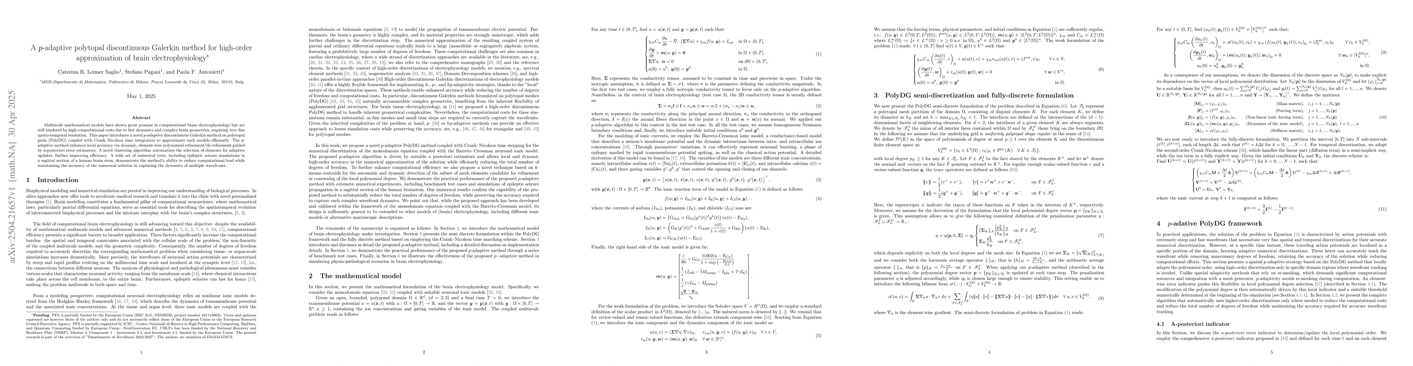 Thumbnail for A p-adaptive polytopal discontinuous Galerkin method for high-order
  approximation of brain electrophysiology