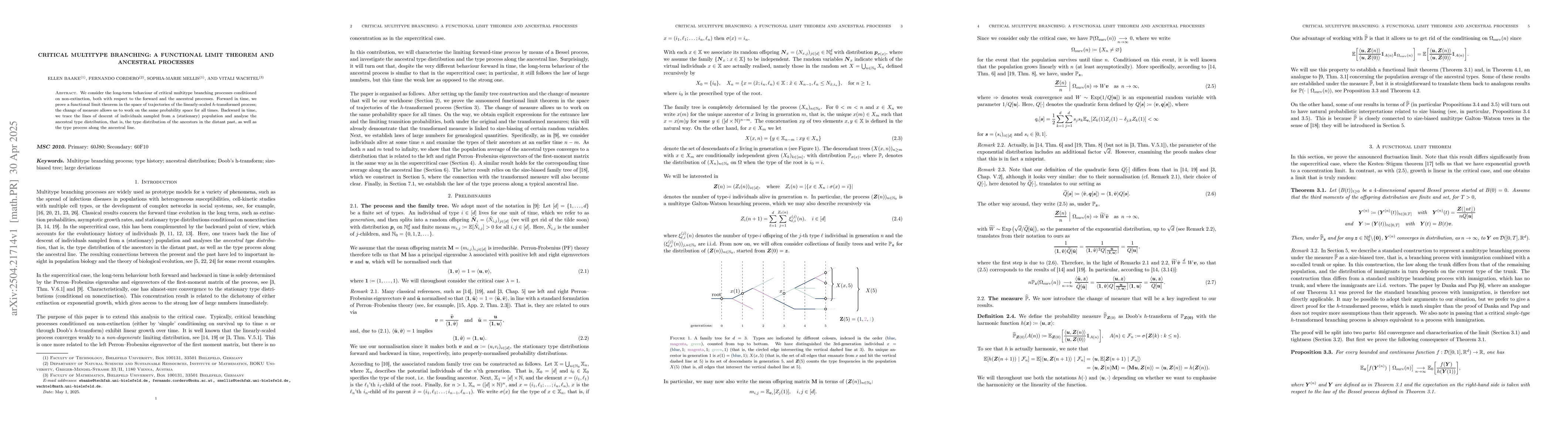 Thumbnail for Critical multitype branching: a functional limit theorem and ancestral
  processes