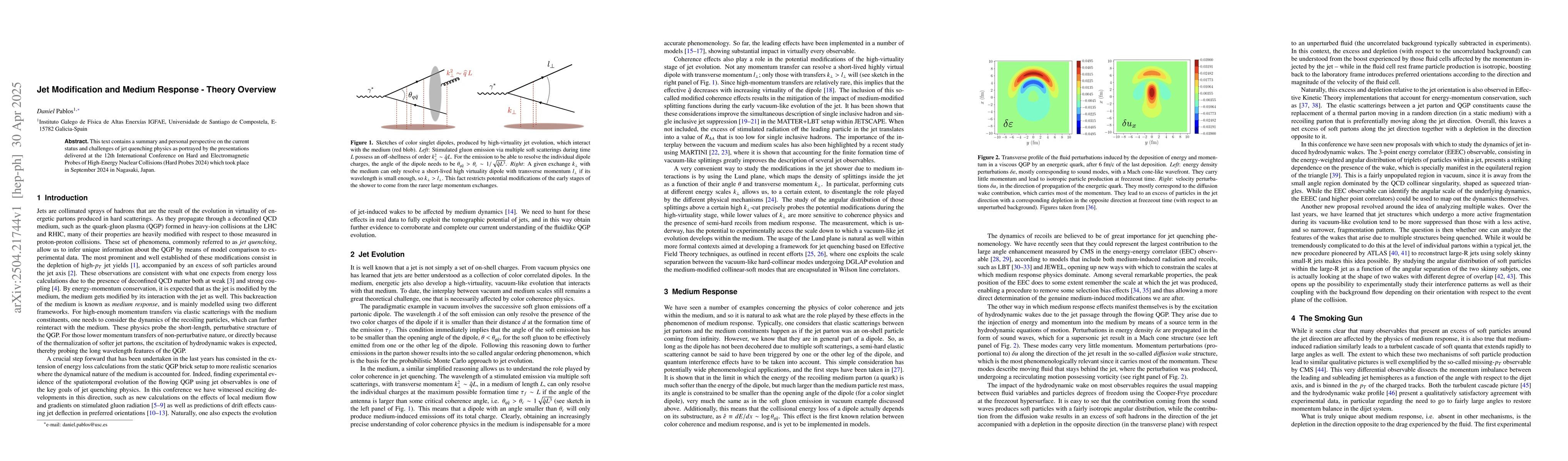 Thumbnail for Jet Modification and Medium Response -- Theory Overview