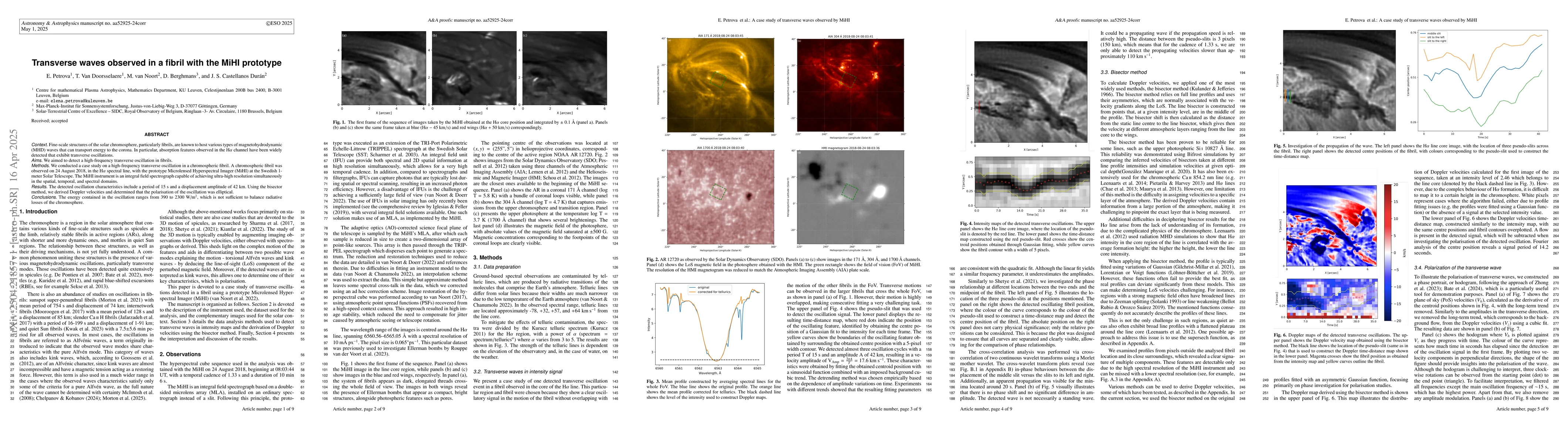 Thumbnail for Transverse waves observed in a fibril with the MiHI prototype