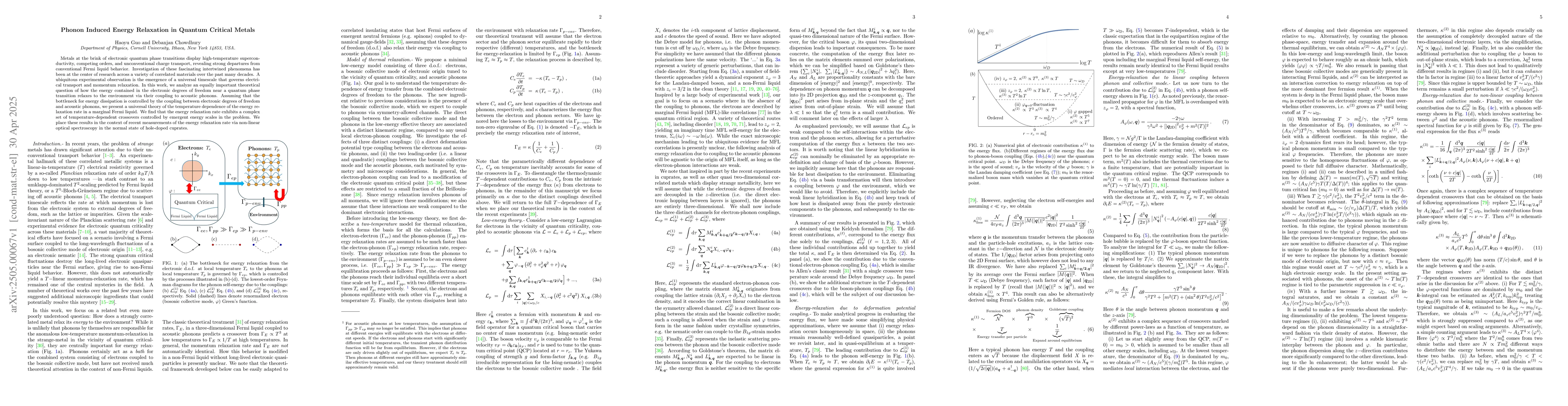 Thumbnail for Phonon Induced Energy Relaxation in Quantum Critical Metals