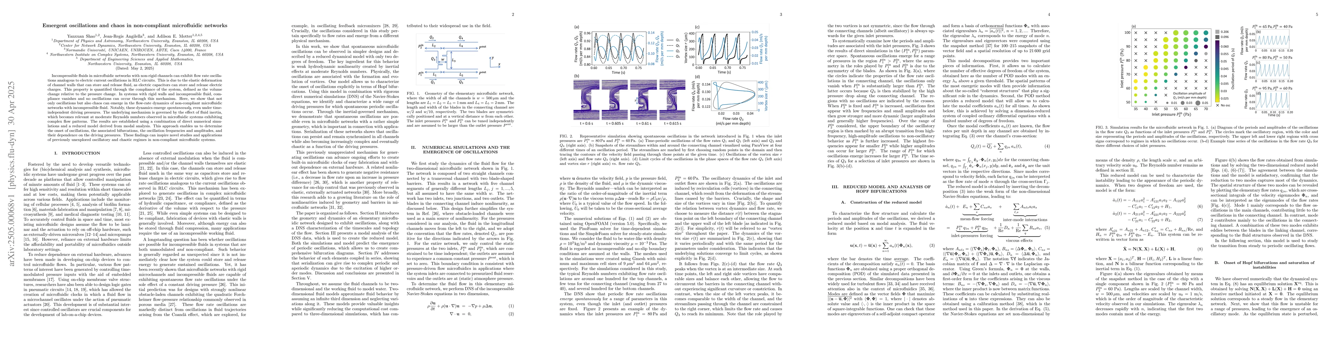 Thumbnail for Emergent oscillations and chaos in non-compliant microfluidic networks