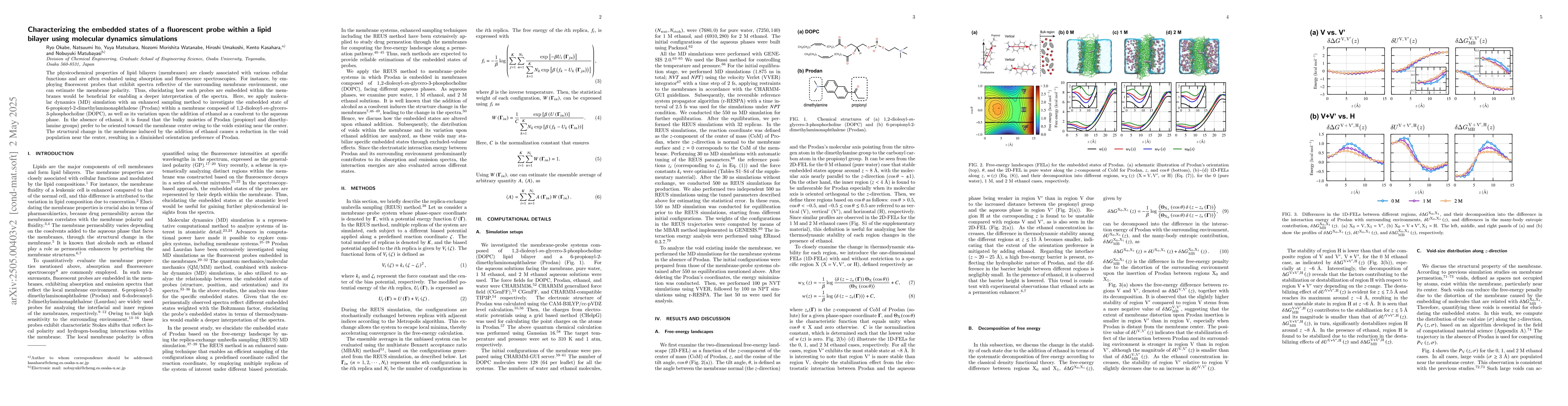 Thumbnail for Characterizing the embedded states of a fluorescent probe within a lipid
  bilayer using molecular dynamics simulations