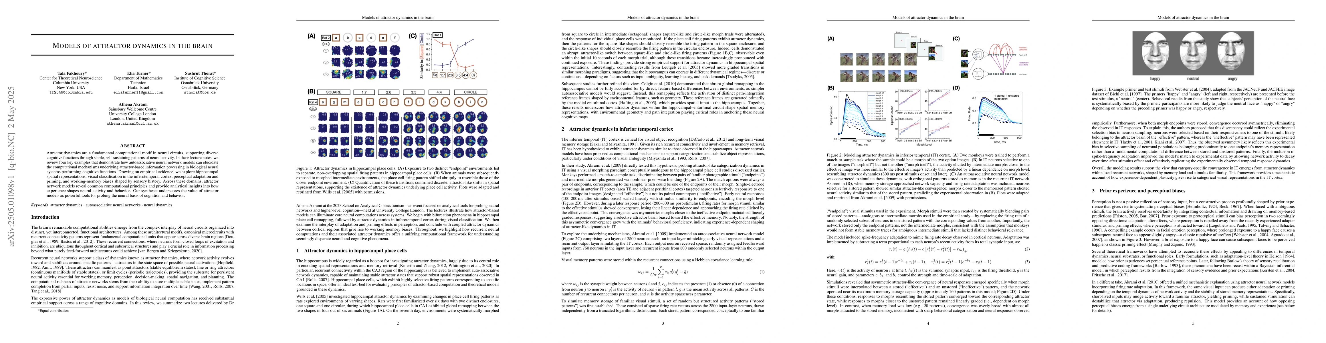 Thumbnail for Models of attractor dynamics in the brain