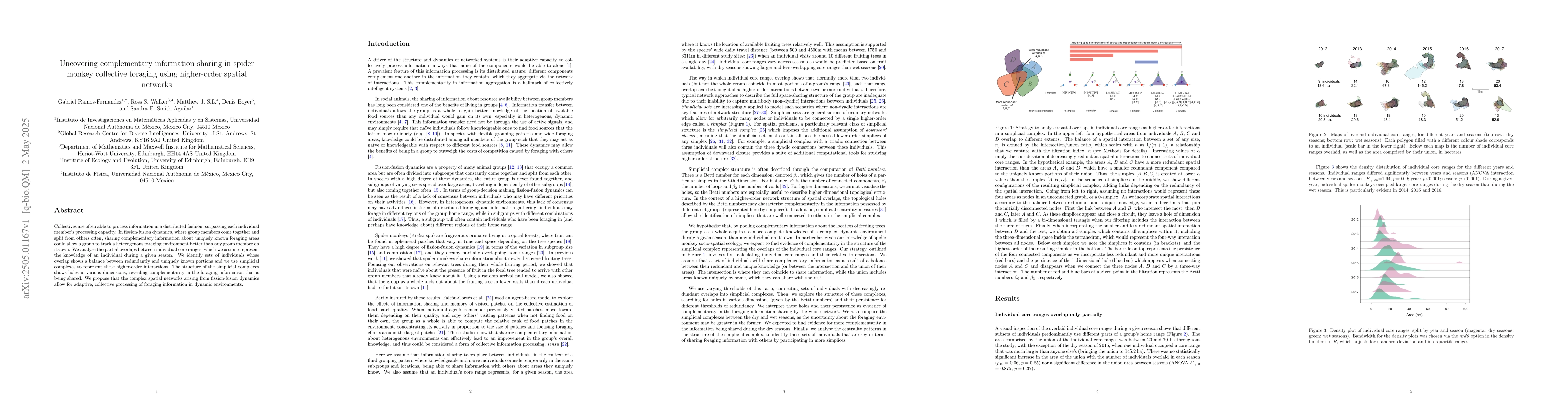 Thumbnail for Uncovering complementary information sharing in spider monkey collective
  foraging using higher-order spatial networks