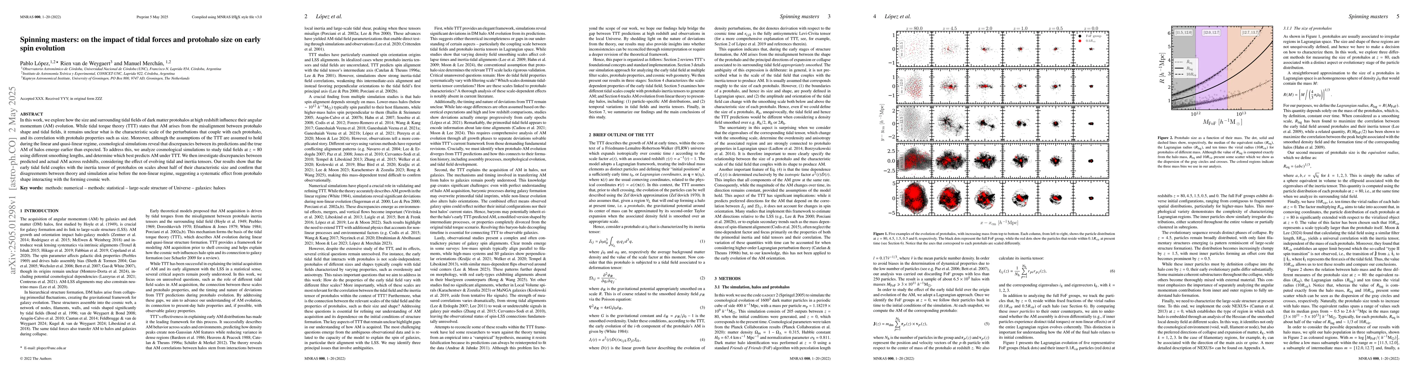 Thumbnail for Spinning masters: on the impact of tidal forces and protohalo size on
  early spin evolution