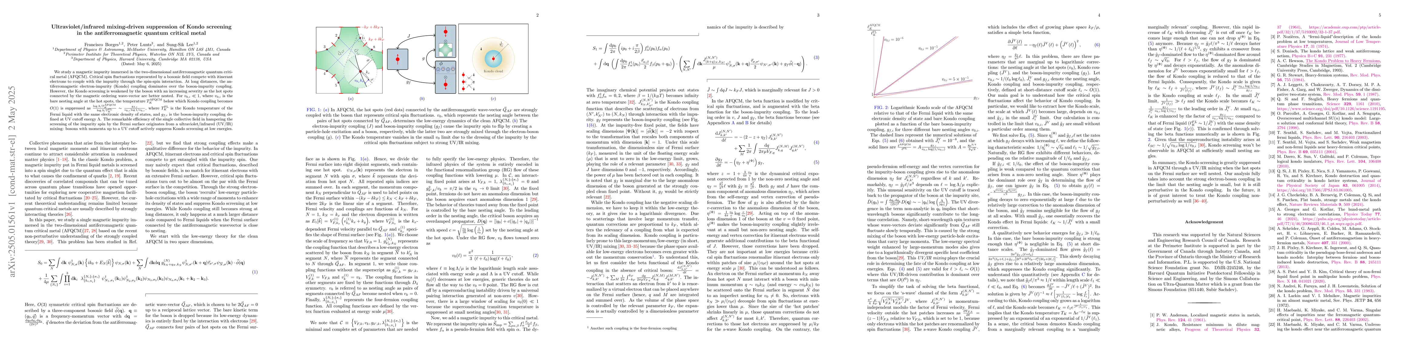 Thumbnail for Ultraviolet/infrared mixing-driven suppression of Kondo screening in the
  antiferromagnetic quantum critical metal
