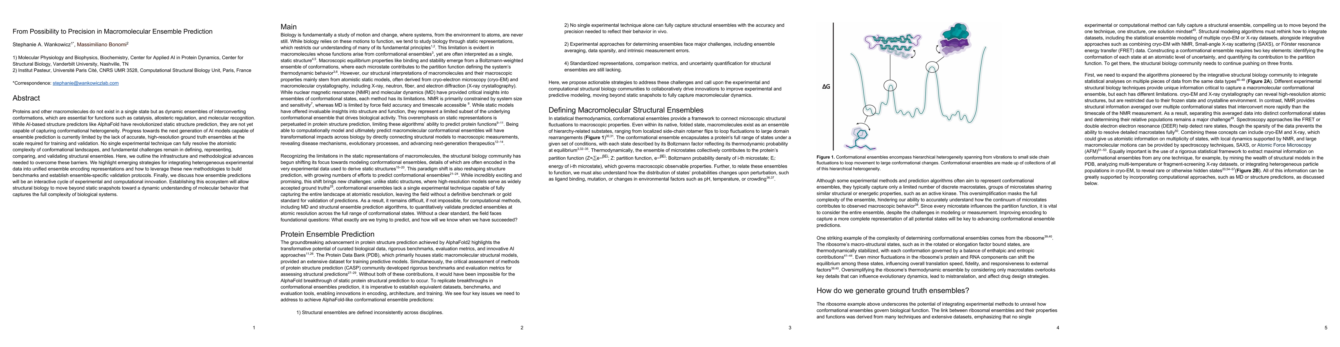 Thumbnail for From Possibility to Precision in Macromolecular Ensemble Prediction