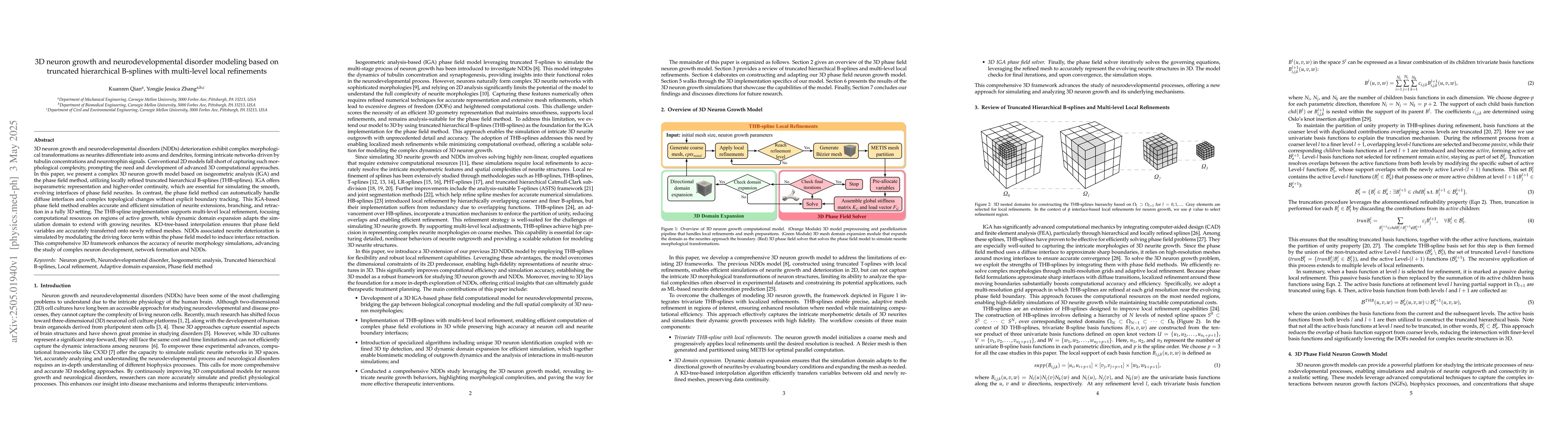Thumbnail for 3D neuron growth and neurodevelopmental disorder modeling based on
  truncated hierarchical B-splines with multi-level local refinements