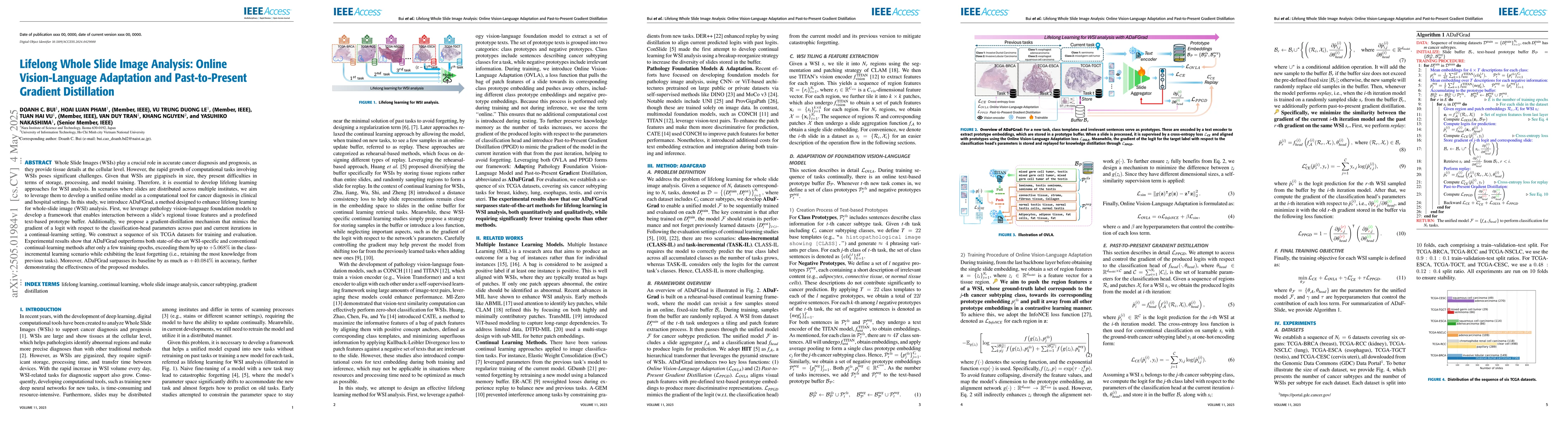 Thumbnail for Lifelong Whole Slide Image Analysis: Online Vision-Language Adaptation
  and Past-to-Present Gradient Distillation