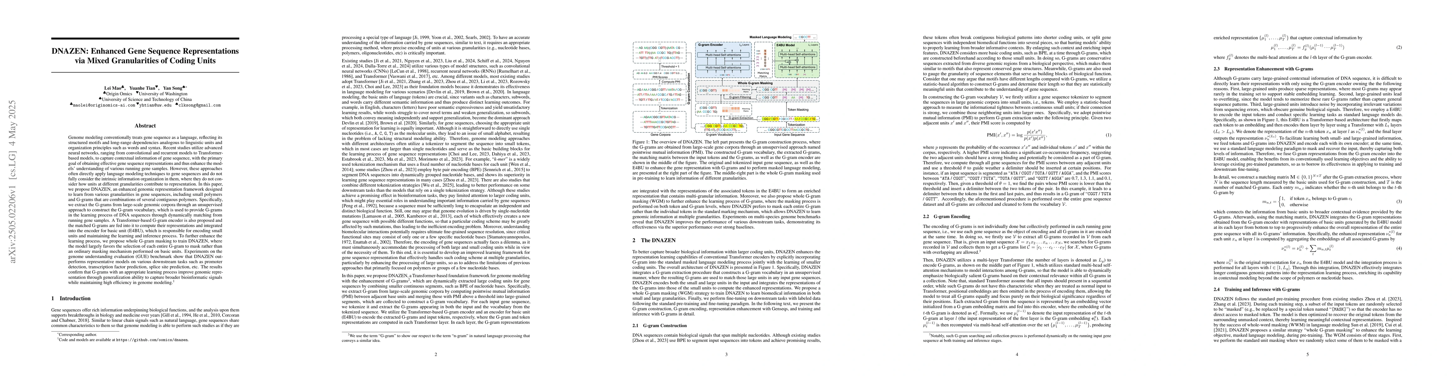Thumbnail for DNAZEN: Enhanced Gene Sequence Representations via Mixed Granularities
  of Coding Units