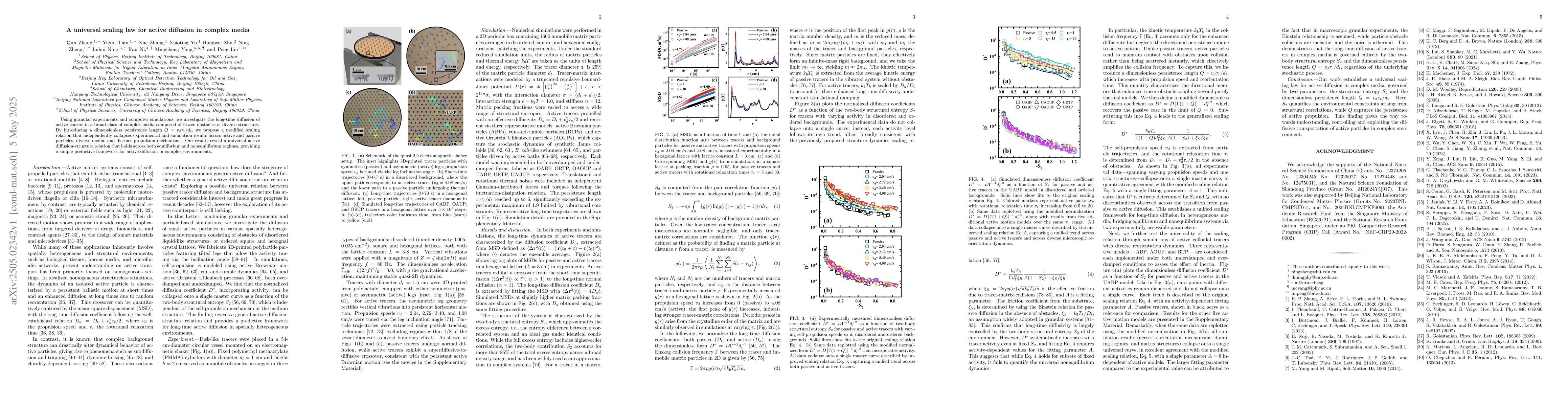 Thumbnail for A universal scaling law for active diffusion in complex media