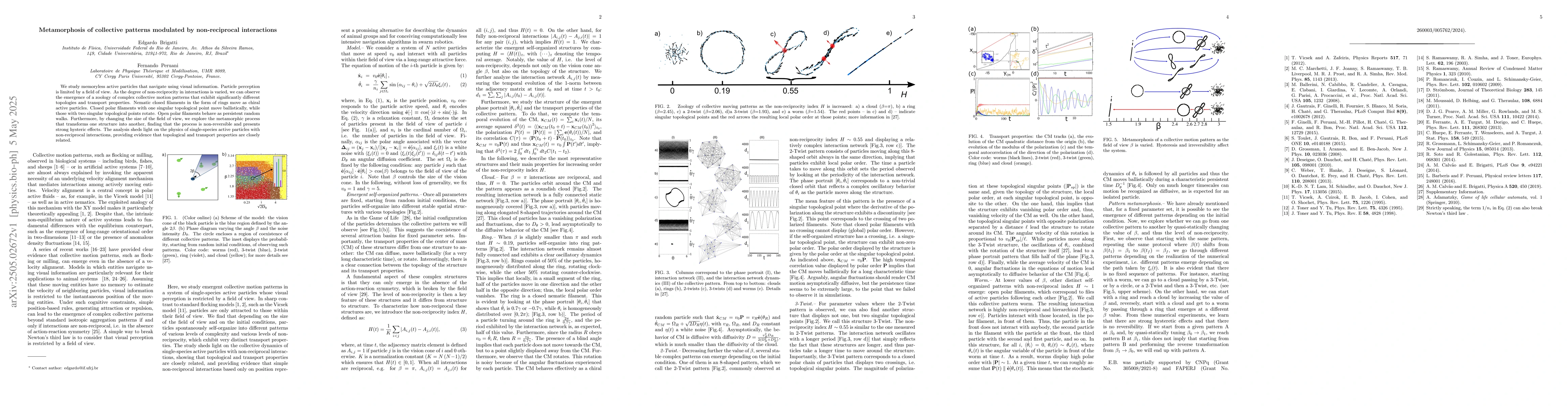 Thumbnail for Metamorphosis of collective patterns modulated by non-reciprocal
  interactions