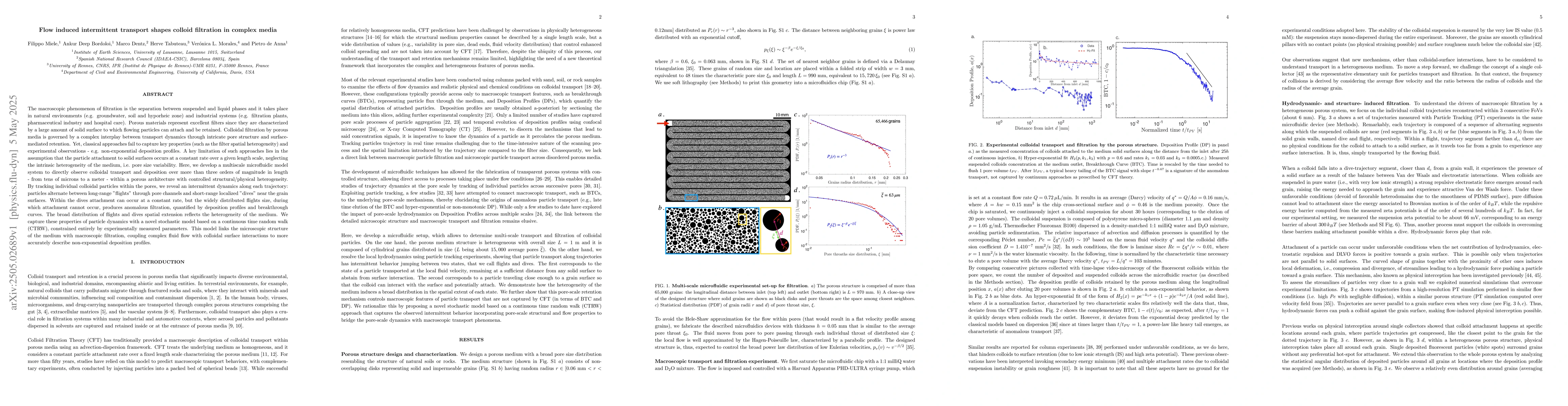 Thumbnail for Flow induced intermittent transport shapes colloid filtration in complex
  media