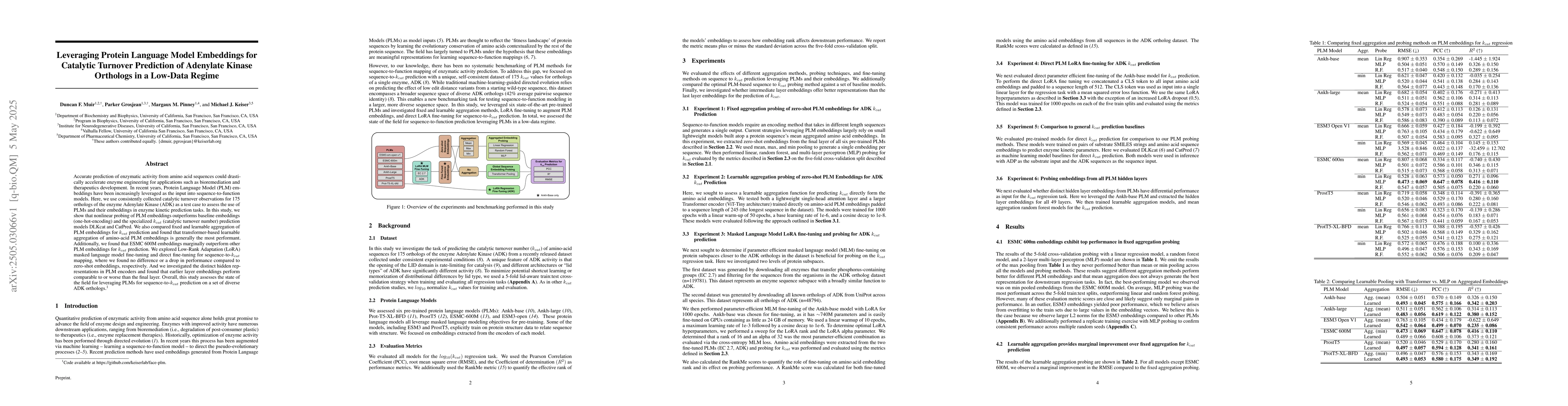 Thumbnail for Leveraging Protein Language Model Embeddings for Catalytic Turnover
  Prediction of Adenylate Kinase Orthologs in a Low-Data Regime