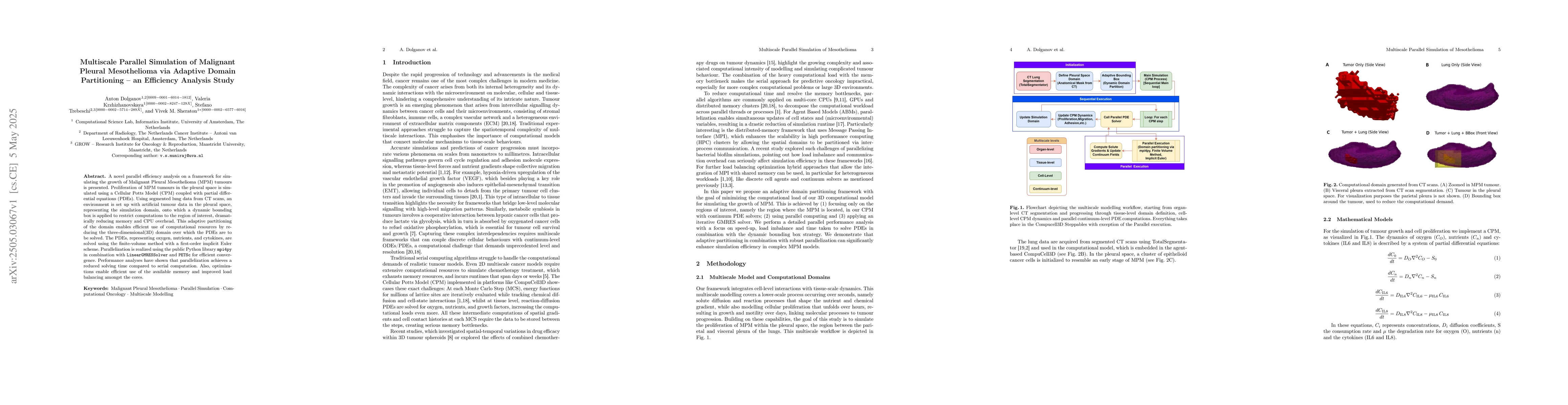 Thumbnail for Multiscale Parallel Simulation of Malignant Pleural Mesothelioma via
  Adaptive Domain Partitioning -- an Efficiency Analysis Study