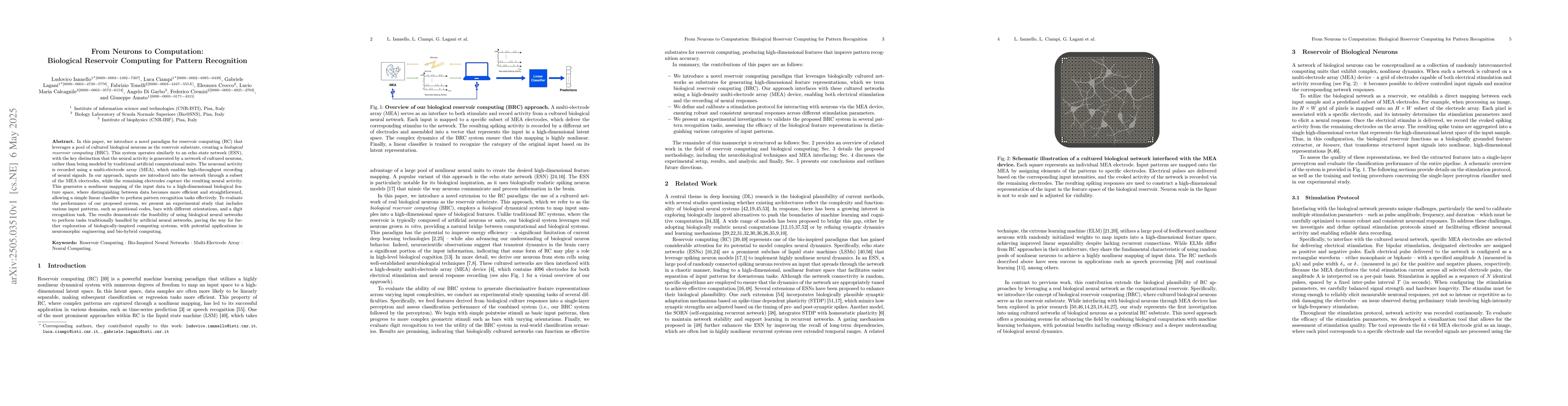 Thumbnail for From Neurons to Computation: Biological Reservoir Computing for Pattern
  Recognition