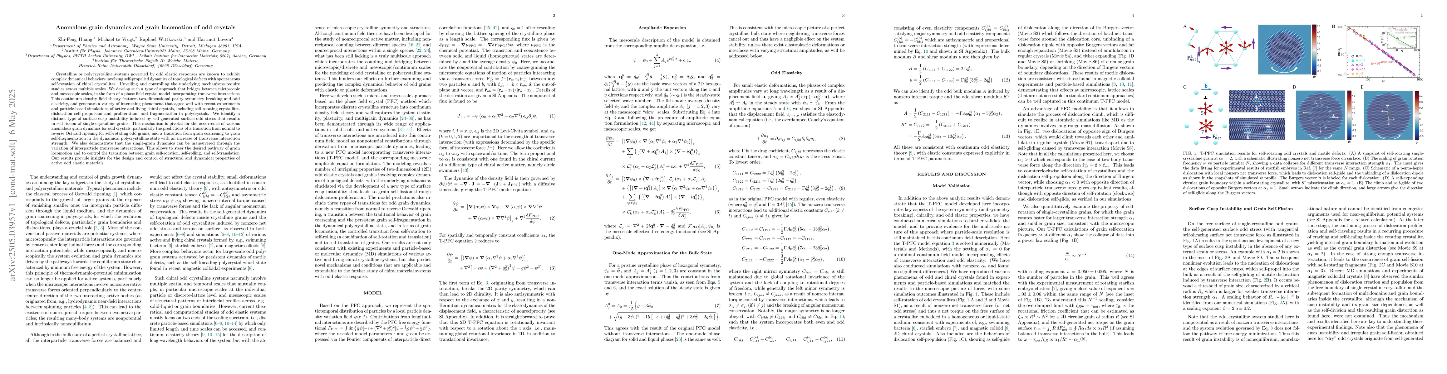 Thumbnail for Anomalous grain dynamics and grain locomotion of odd crystals
