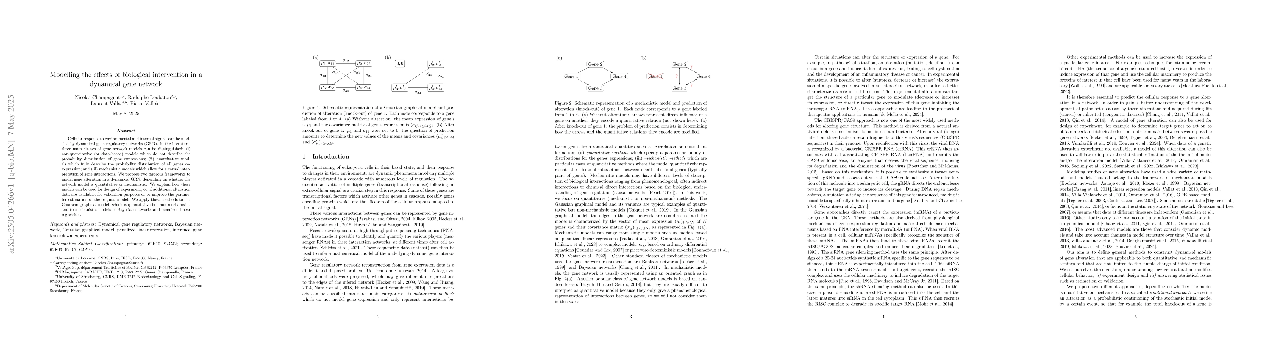 Thumbnail for Modelling the effects of biological intervention in a dynamical gene
  network