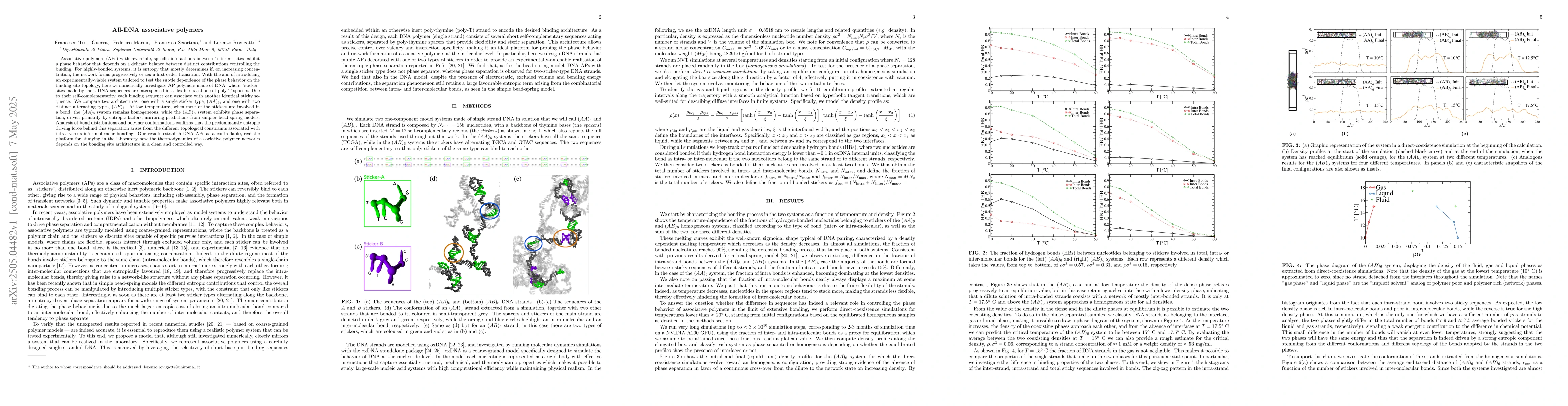 Thumbnail for All-DNA associative polymers
