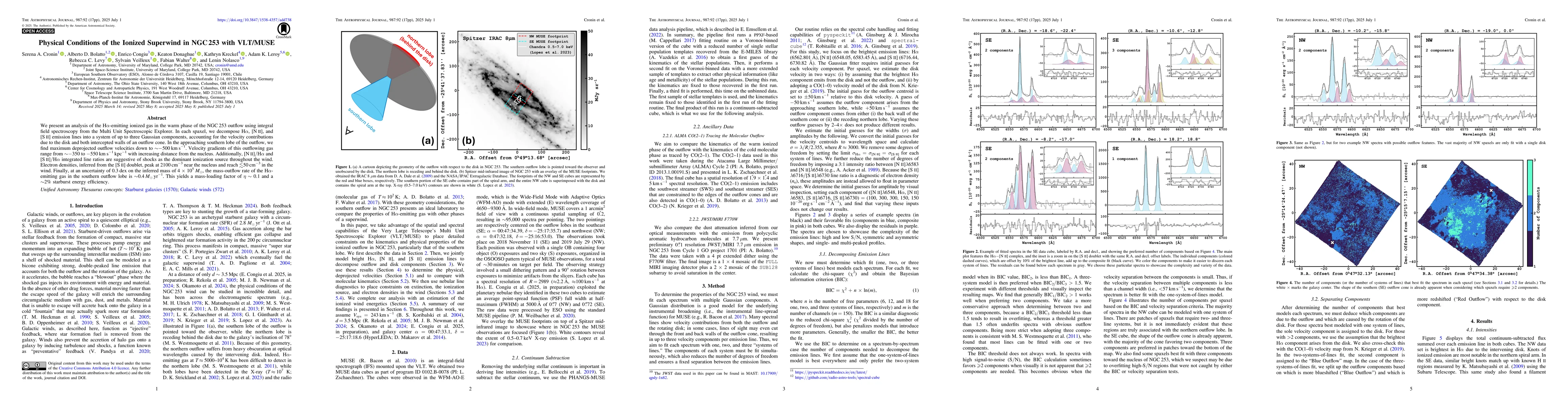 Thumbnail for Physical Conditions of the Ionized Superwind in NGC 253 with VLT/MUSE