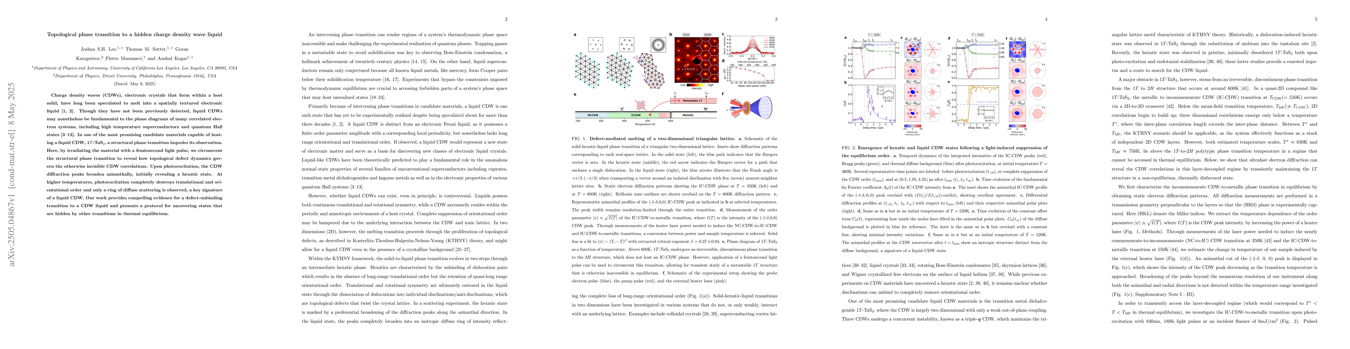 Thumbnail for Topological phase transition to a hidden charge density wave liquid