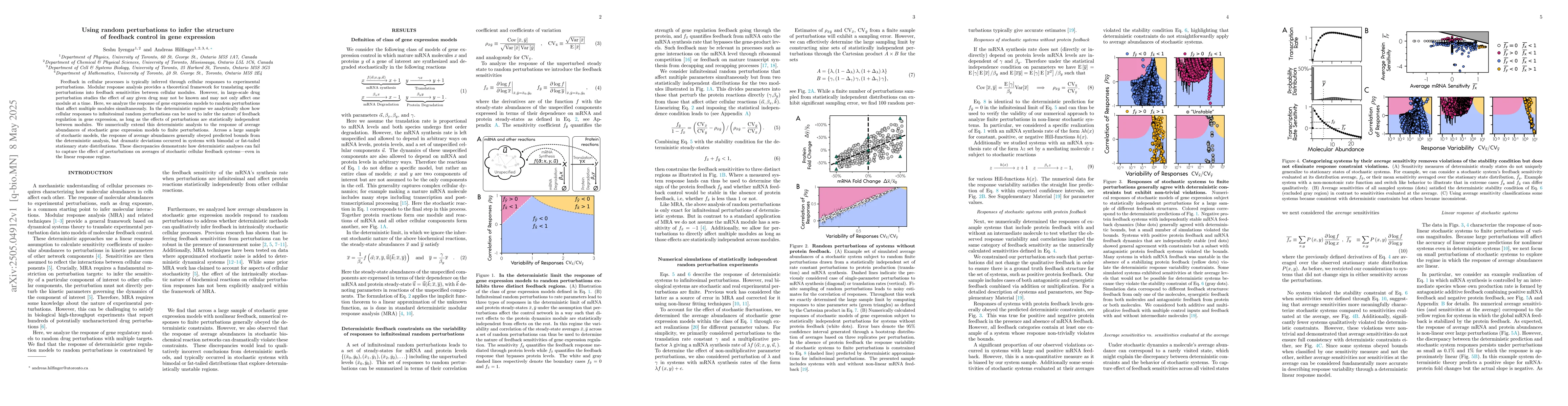 Thumbnail for Using random perturbations to infer the structure of feedback control in
  gene expression