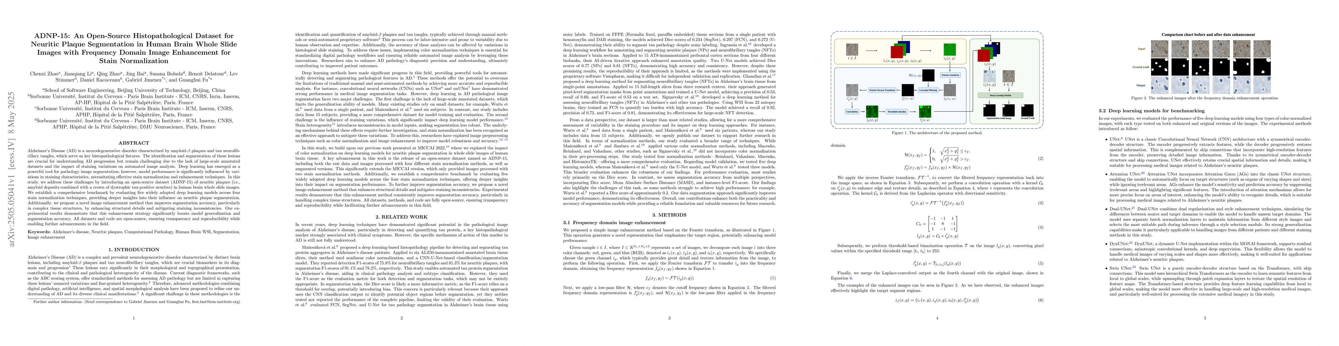 Thumbnail for ADNP-15: An Open-Source Histopathological Dataset for Neuritic Plaque
  Segmentation in Human Brain Whole Slide Images with Frequency Domain Image
  Enhancement for Stain Normalization