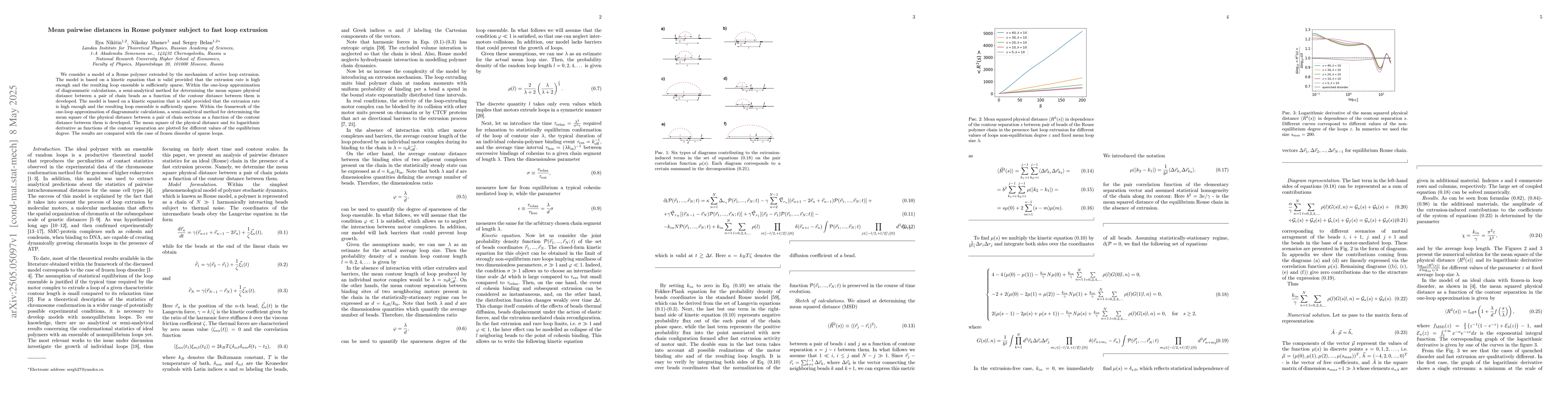Thumbnail for Mean pairwise distances in Rouse polymer subject to fast loop extrusion