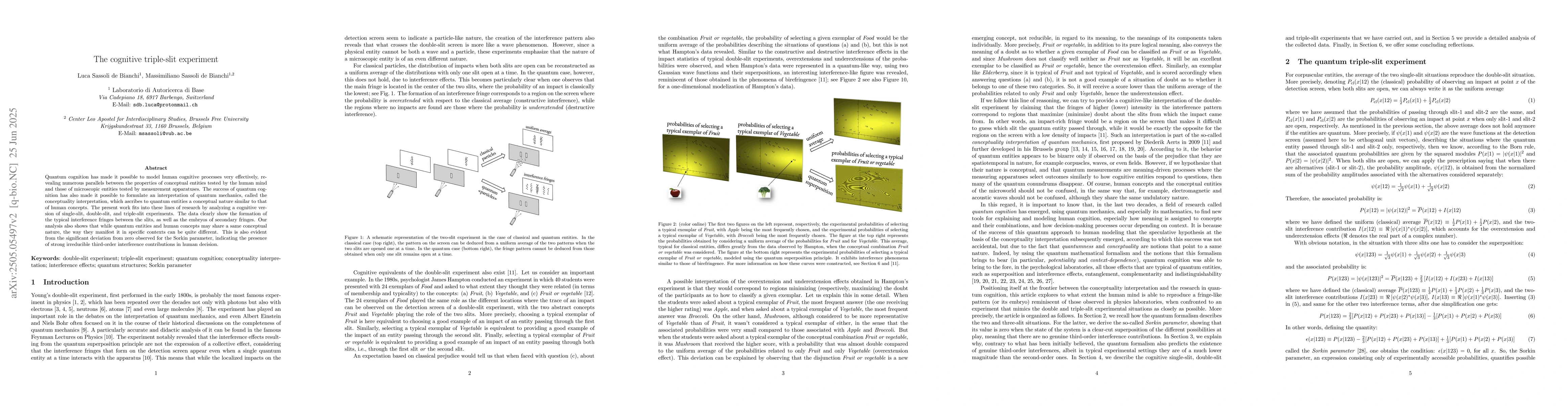 Thumbnail for The cognitive triple-slit experiment