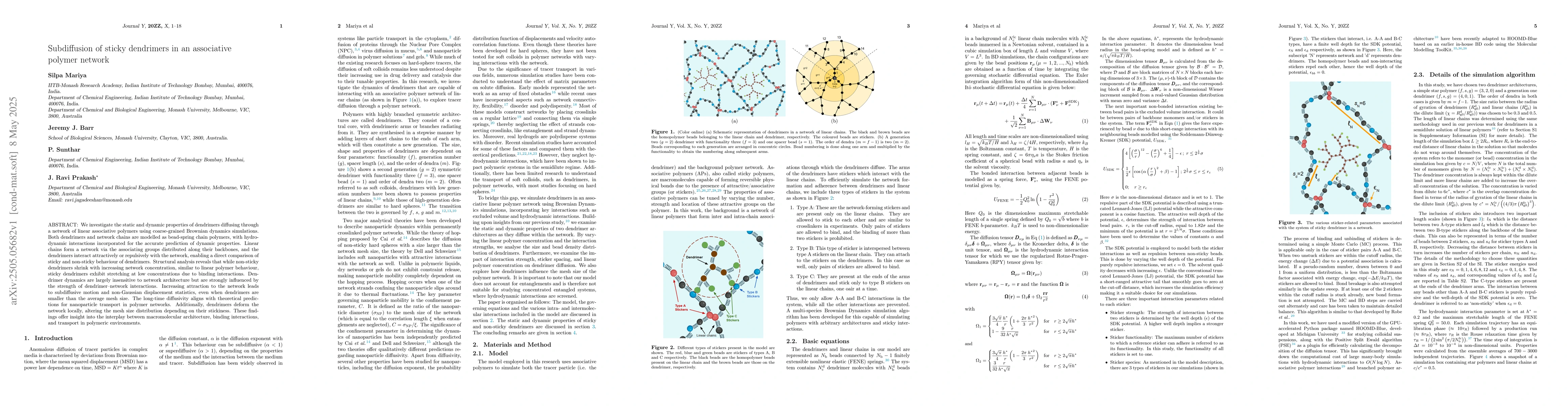 Thumbnail for Subdiffusion of sticky dendrimers in an associative polymer network