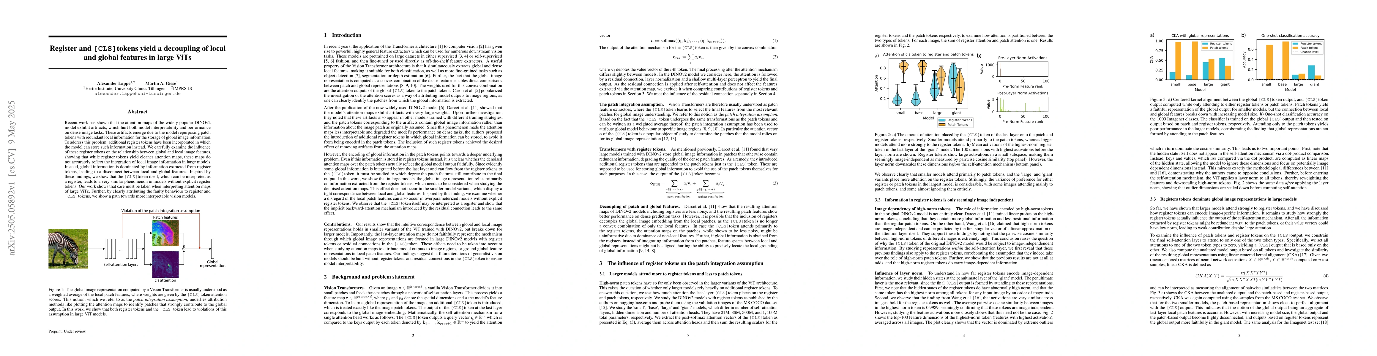 Thumbnail for Register and CLS tokens yield a decoupling of local and global features
  in large ViTs